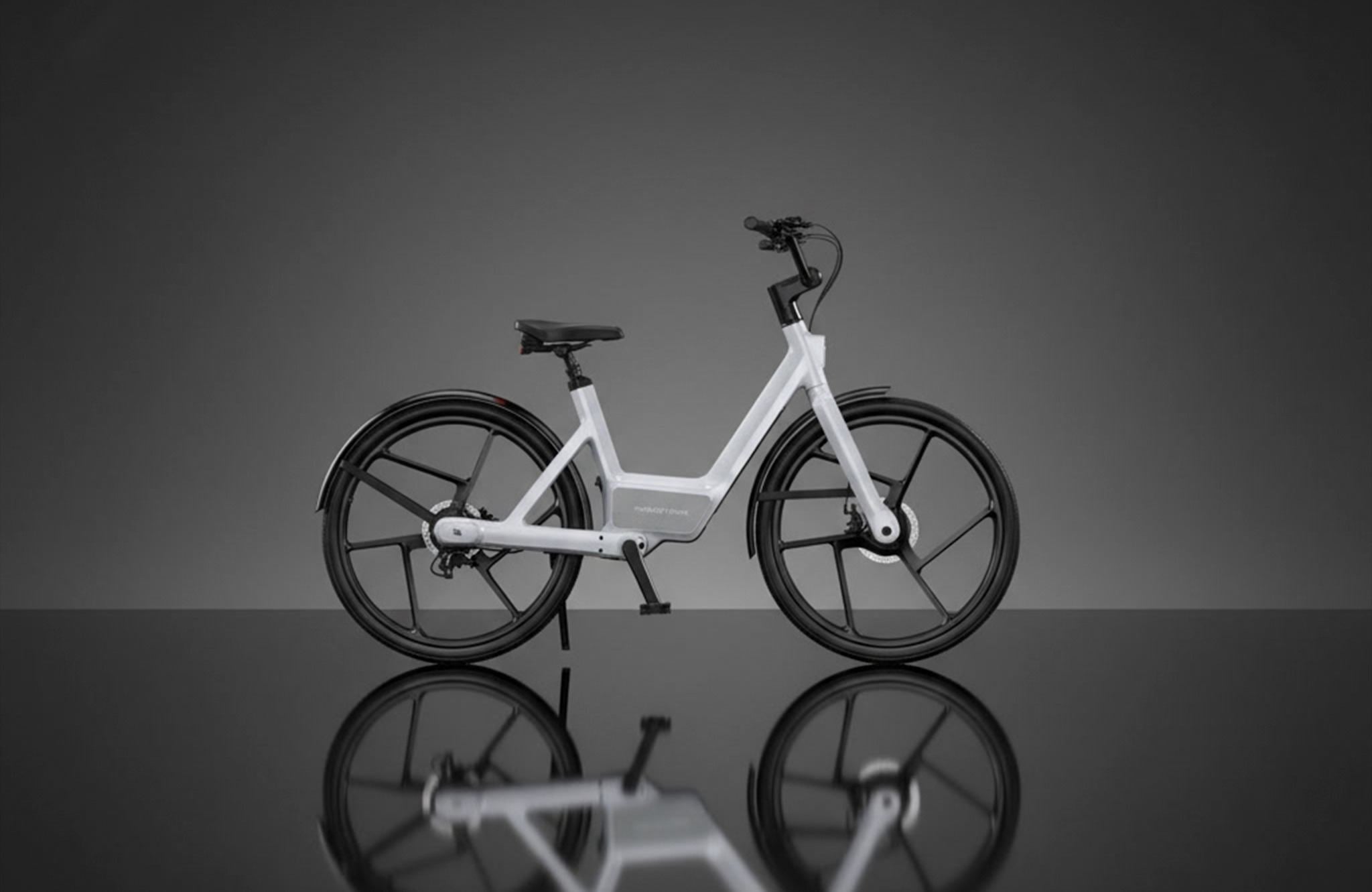 One Bike, Many Roles: Kids, Groceries, Weekend Parks